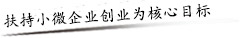 扶持小微企业创业为核心目标